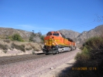 BNSF 4423